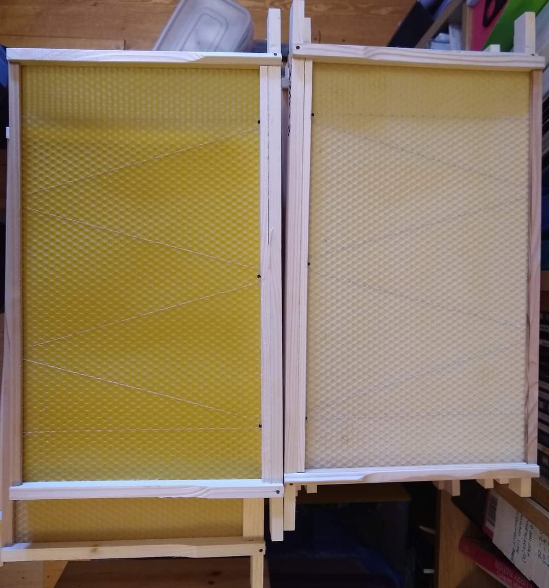 When adding foundation to frames, older or stored sheets can have a whitish tinge (right). Bees seem less inclined to draw this out. Gently warming with a hairdryer restores colour and aroma (left) and the bees seem to prefer.