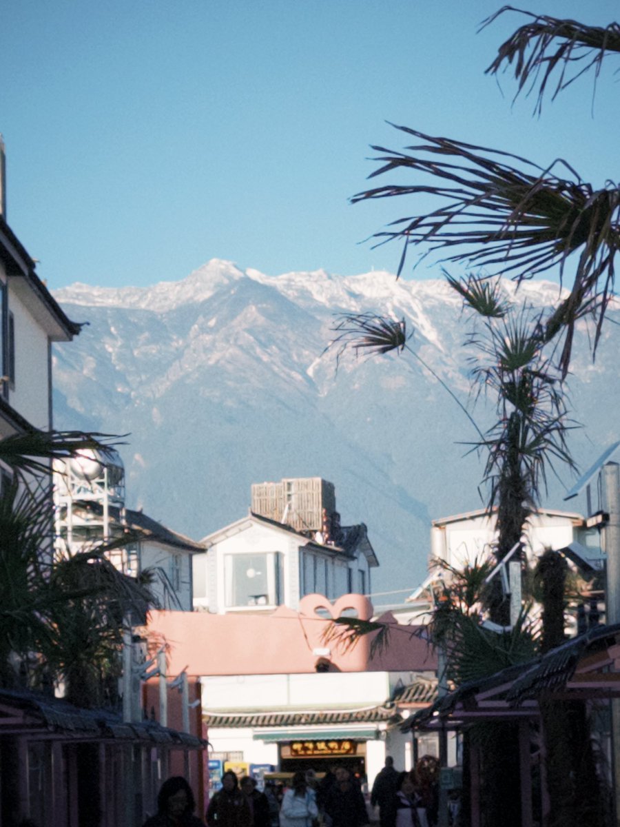 15618704wer's tweet photo. 🕶️ https://t.co/psVn5XFSCk