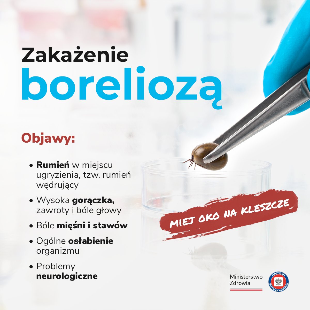 Miej oko na kleszcze 🧐 Jedną z chorób przenoszoną przez kleszcze jest borelioza. Nieleczona może prowadzić do zapalenia opon mózgowo-rdzeniowych oraz mózgu, zapalenia nerwów, zapalenia stawów lub zaburzeń rytmu pracy serca.