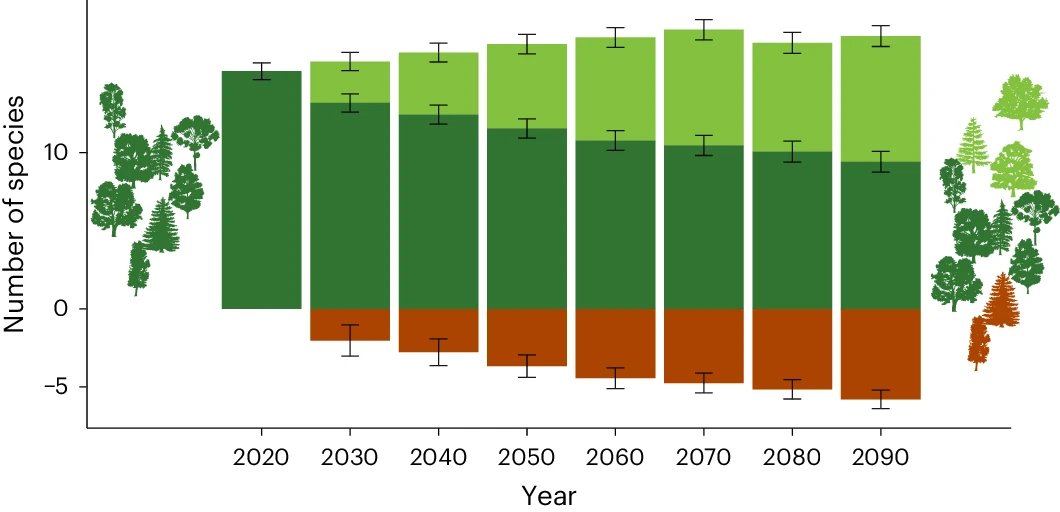 A climate-induced tree species bottleneck for forest management in Europe rdcu.be/dGevz