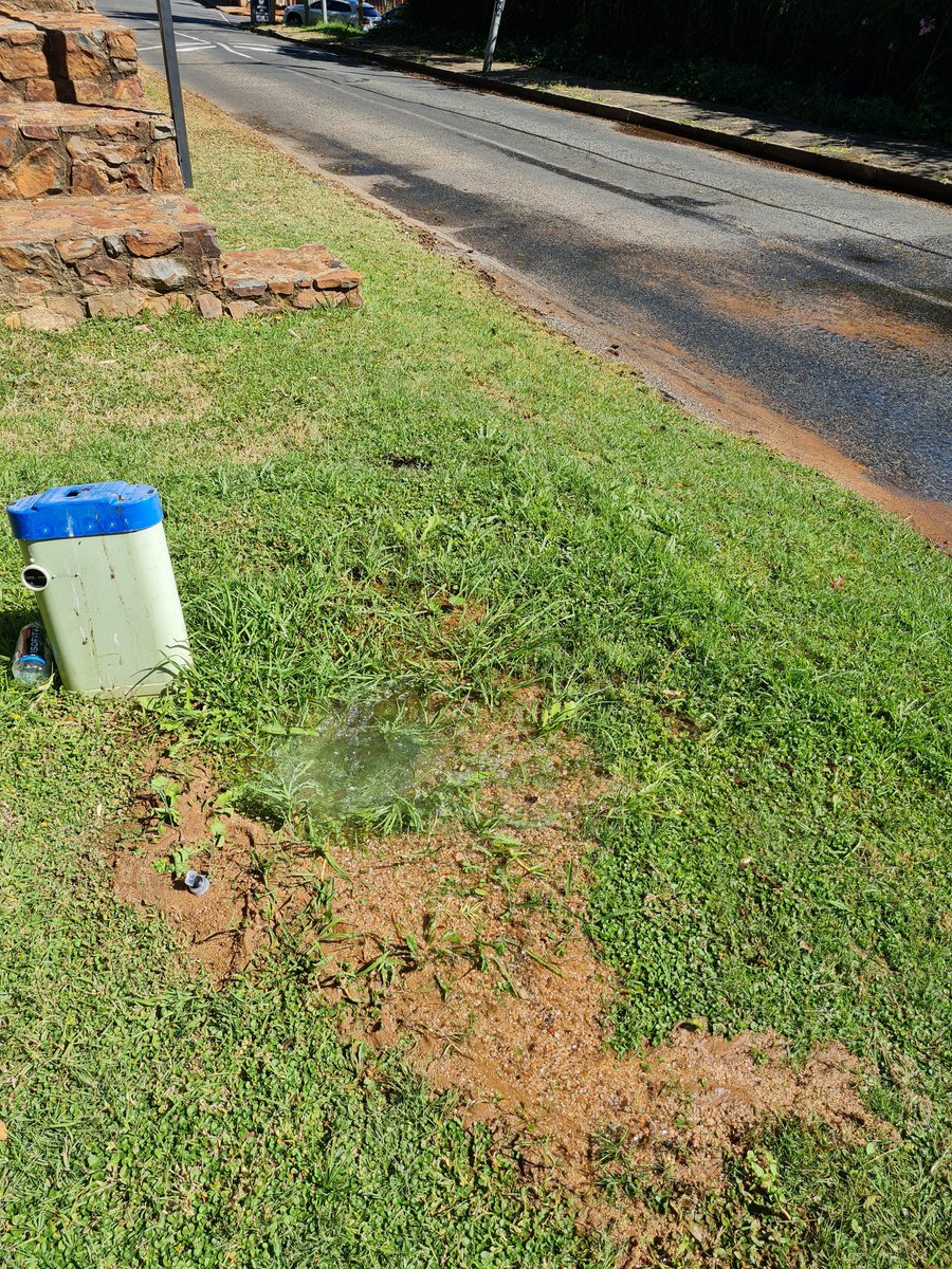 Hi @JHBWater there is a pretty big water leak just before a water meter. Carlow Road corner Emmarentia Ave in Westcliff/Parkview. Thanks