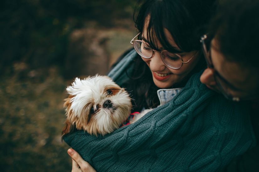 A Comprehensive Checklist For Responsible Pet Parenting: Ensuring The Well-Being Of Your Furry Friend

Know more: uniquetimes.org/a-comprehensiv…

#uniquetimes #LatestNews #petparenting #petparents #veterinarycare #nutrition #petcare #socialization