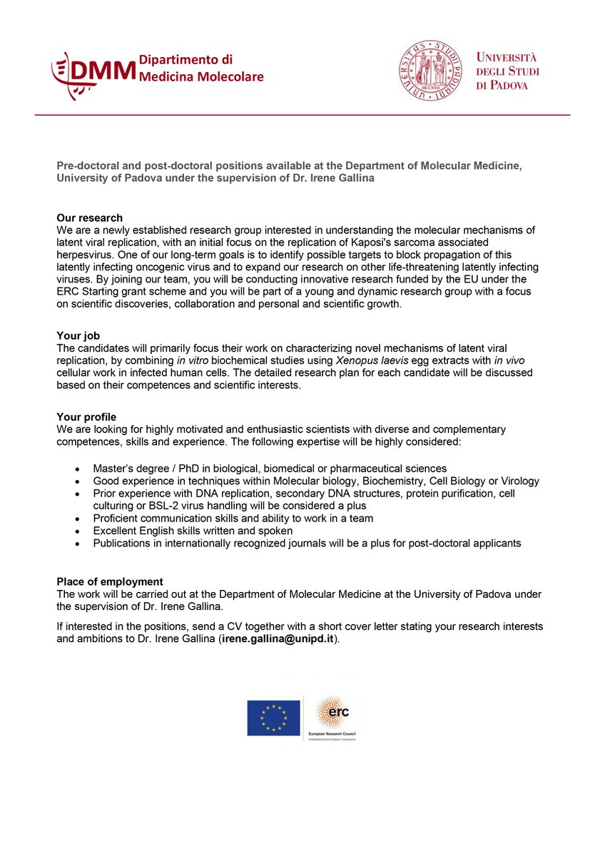 Irene Gallina (@irenegallina) on Twitter photo ‼️We are hiring‼️If you are interested in the molecular mechanisms of DNA replication and in the ways viruses propagate latently in infected cells, come join our <a href="/ERC_Research/">European Research Council (ERC)</a> project at <a href="/UniPadova/">Università di Padova</a> <a href="/DMM_Unipd/">Dipartimento di Medicina Molecolare DMM - Unipd</a> ‼️We are hiring‼️If you are interested in the molecular mechanisms of DNA replication and in the ways viruses propagate latently in infected cells, come join our <a href="/ERC_Research/">European Research Council (ERC)</a> project at <a href="/UniPadova/">Università di Padova</a> <a href="/DMM_Unipd/">Dipartimento di Medicina Molecolare DMM - Unipd</a>