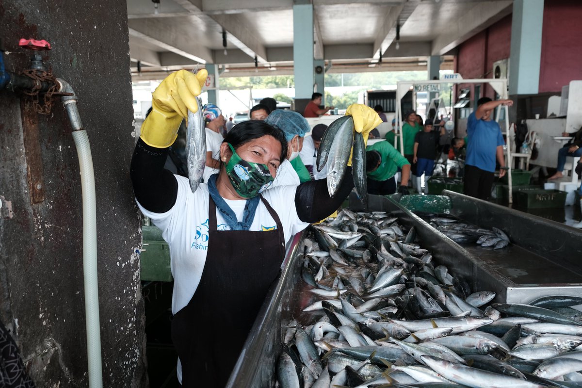 The Migrant Fishers Information Package, backed by the EU, empowers Filipino fishers and their communities with crucial information to make informed decisions about working in fishing and to prepare for work on foreign fleets🌊 Learn more👉 bit.ly/4dl7Ez1 #S2SR