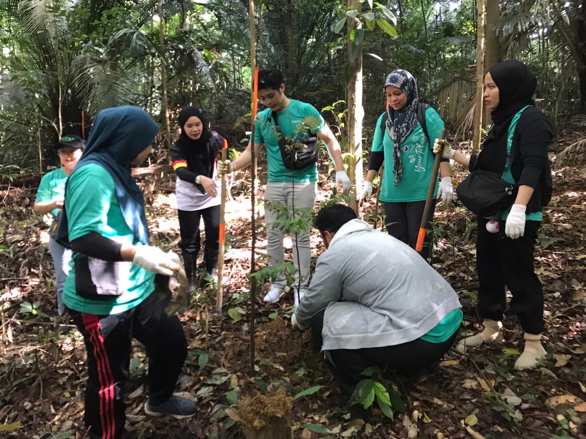 B.Braun Medical Supplies dan wakil² 8 hospital tanam 40 pokok di @FRIMKepong pd 27/4 sempena #HariBumi bg menyokong Kempen Penanaman @100JutaPokok 

#PokokKitaKehidupanKita #OurTreesOurLife #100JutaPokok #CSR_FRIM #FRIMTanamPokok #TreePlantingFRIM #EarthDay2024 #EarthDay