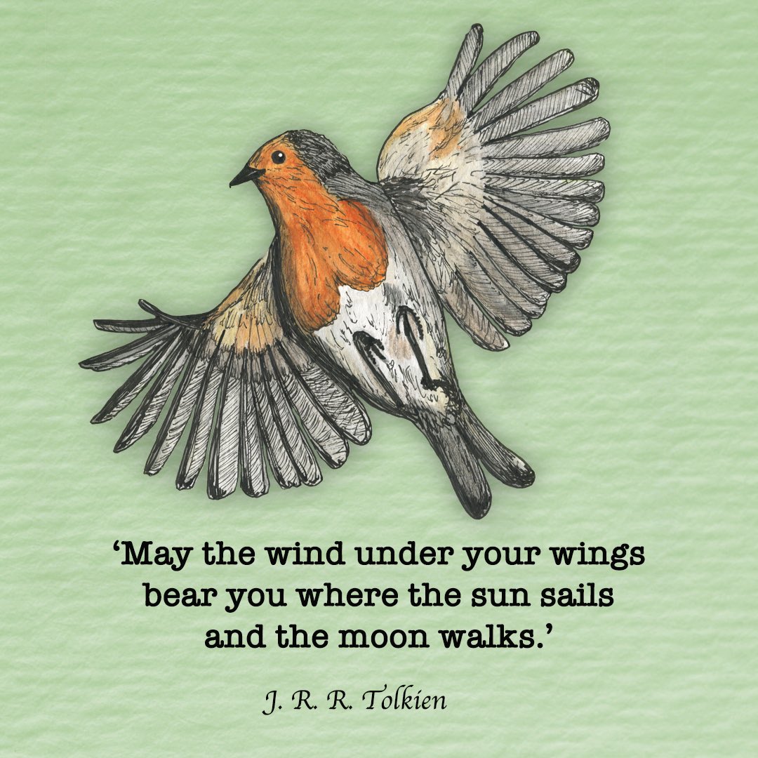 'Que o vento debaixo das tua asas te leve para onde o sol navega, e a lua anda.' J. R. R. Tolkien 
#quotes #tolkien #tradutora #translation #illustrationartist #graphicdesign #illustration #birds #ilustracao #ilustradora #booklovers #books #bookpublisher #editora #kidslit