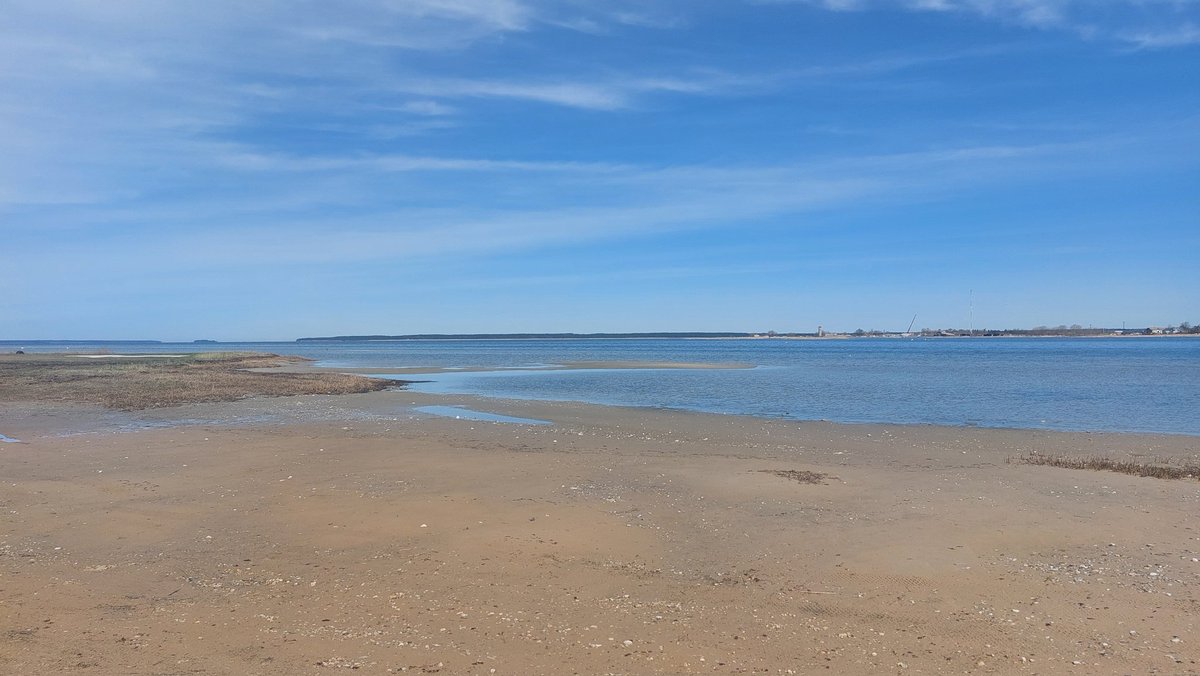 Haapsalu, Paralepa beach
#Estonia #Eesti 🇪🇪
