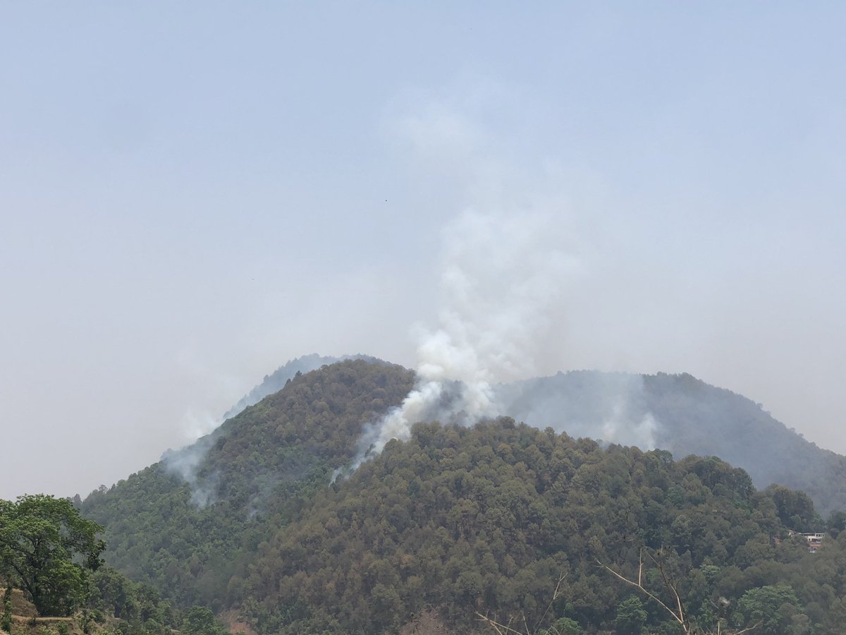 #forestfire in Godawari, Lalitpur! Fire is raging across the country, destroying life, livelihoods and Biodiversity!