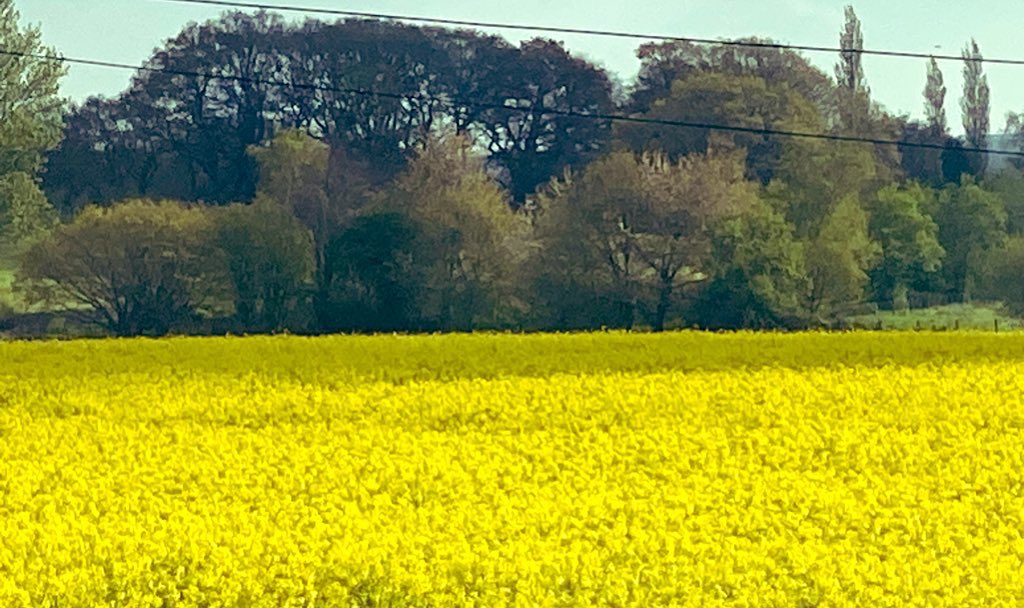 @JohnConstableRA And yesterday’s view - North Downs, Kent