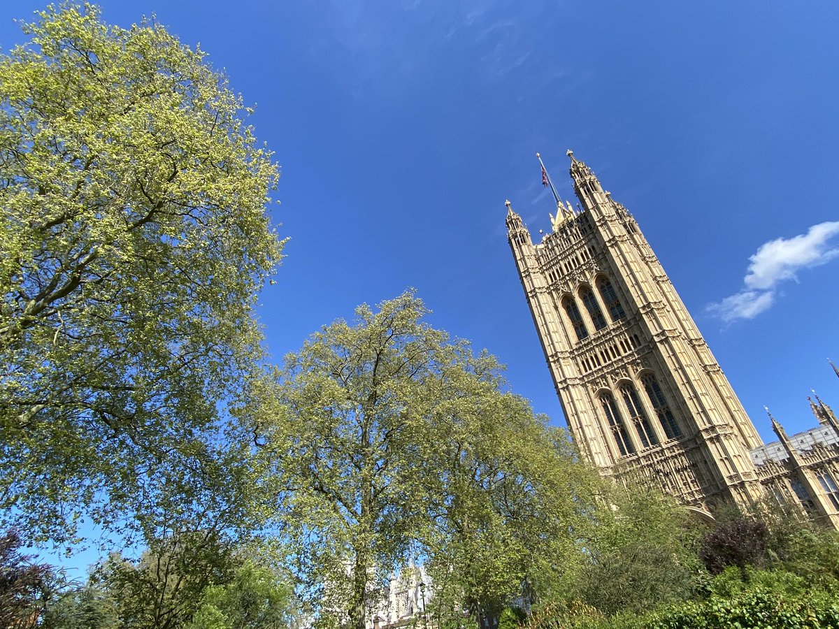 For once I was five mins early for a meeting so I stood quietly in the calm of Victoria Tower Gardens with bees buzzing by and a great tit singing. Felt an instant sense of calm! 🌳 🐝 😎