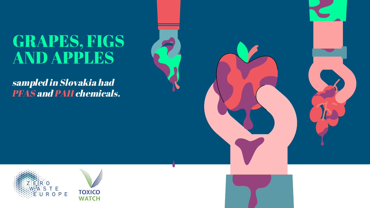 In Slovakia, near the Cementáreň Turňa nad Bodvou, similar tests found dioxins and PFAS in eggs and fruits that exceed safety thresholds, with heavy metals also alarmingly high in local mosses and water. 🧵3/8