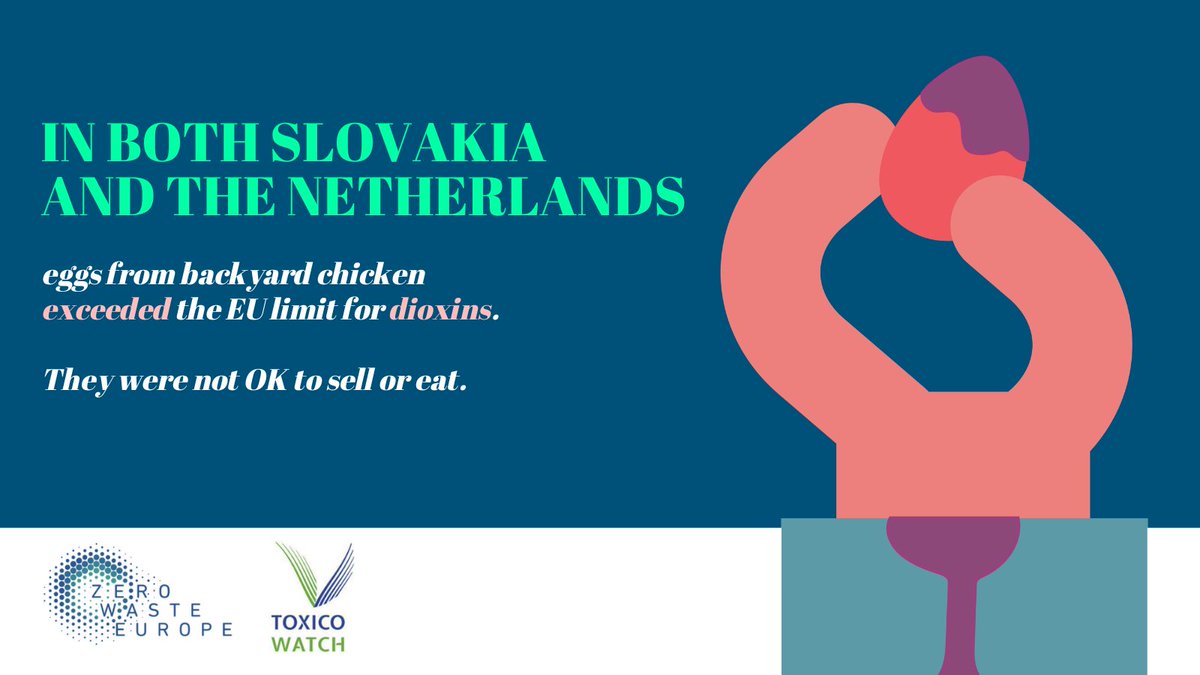 Eggs sampled in both Dutch and Slovak locations would not have been OK to eat or sell due to the high number of harmful chemicals and persistent pollutants found in them. 🧵5/8