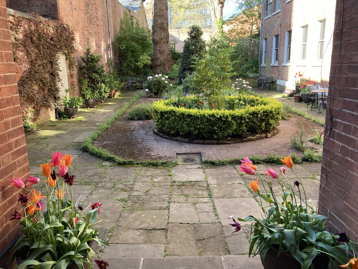 Our garden in Nottingham city centre always surprised visitors 🌷 ❤️