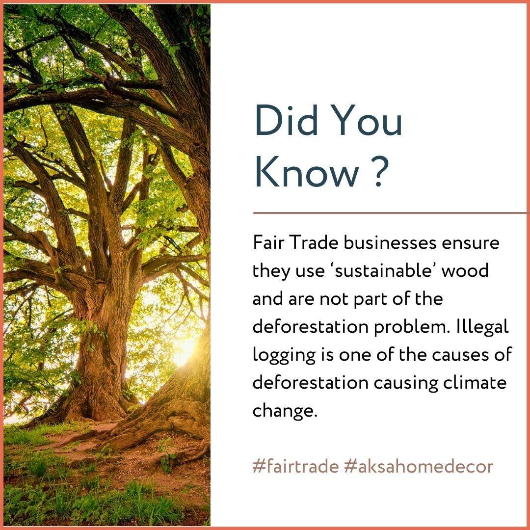 Preserving our planet's future starts with combating deforestation. Promoting fair trade is a key element.

#sustainable #fairtrade #homedecor #interiordesign #fairtradedecor #ethicalhomewares #fairtradegifts #shopfairtrade #homedecorations #elevatewithAksa #sustainablelifestyle