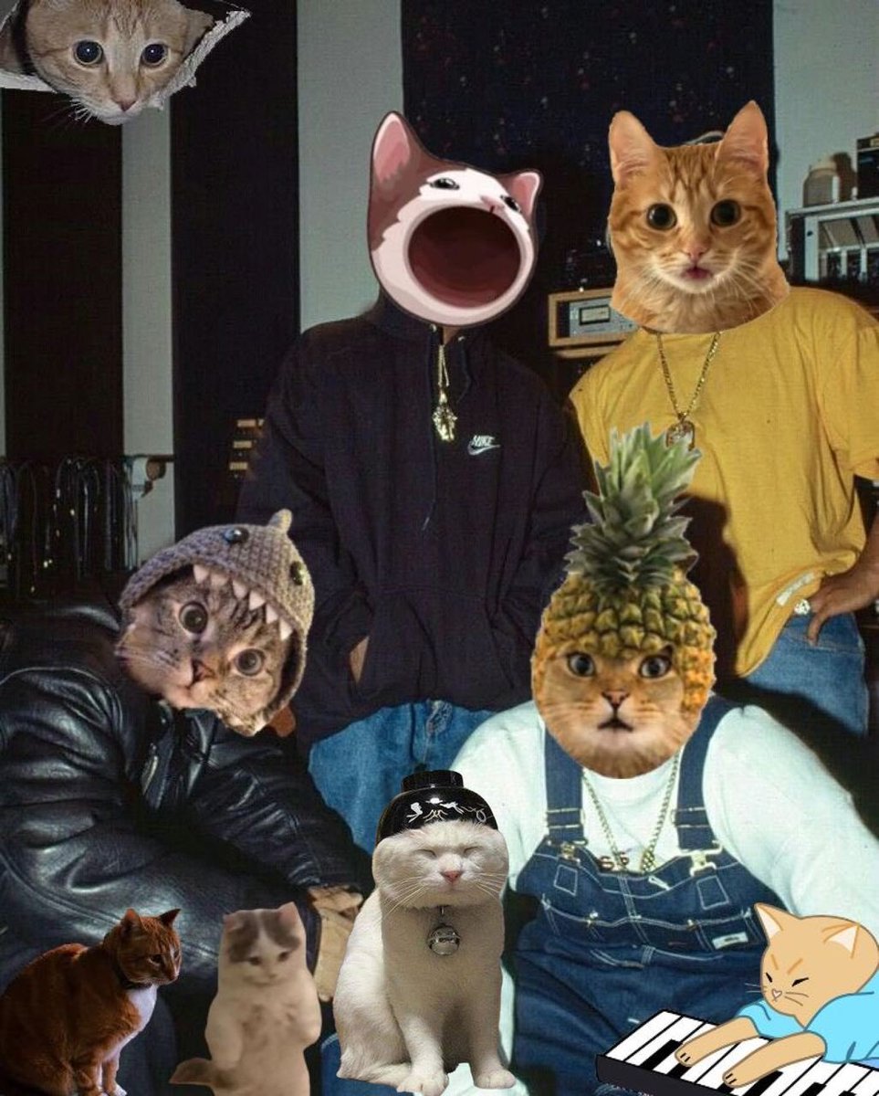 Pineapple Cat 🍍🐱 tweet media
