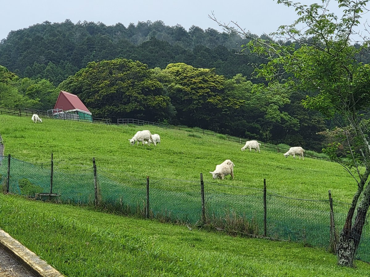 事務作業も完了😊 仮眠取ります😌🌃💤