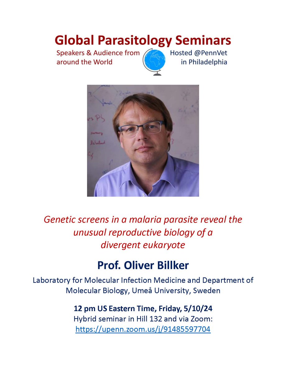 Join for a special global parasitology seminar this Friday 5/10 12 pm US EST. Hear all about the romantic life of the malaria parasite from Oliver Billker! @TrendsParasitol @BSPparasitology @parasitesrule @AS_Para @AmSocParasit @ParaFrap @womeninmalaria upenn.zoom.us/j/91485597704
