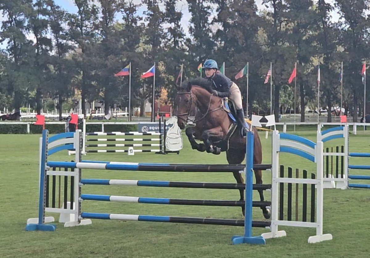 Mi querido Remonta Ubicado! #horsejumping #sporthorse 🥰🐴