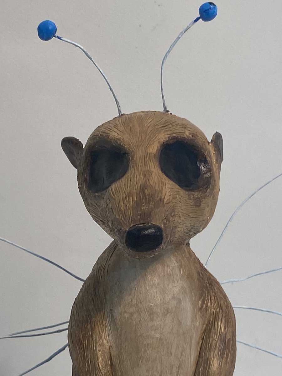 meerkat dragonfly thing DONE. his name is fuckface