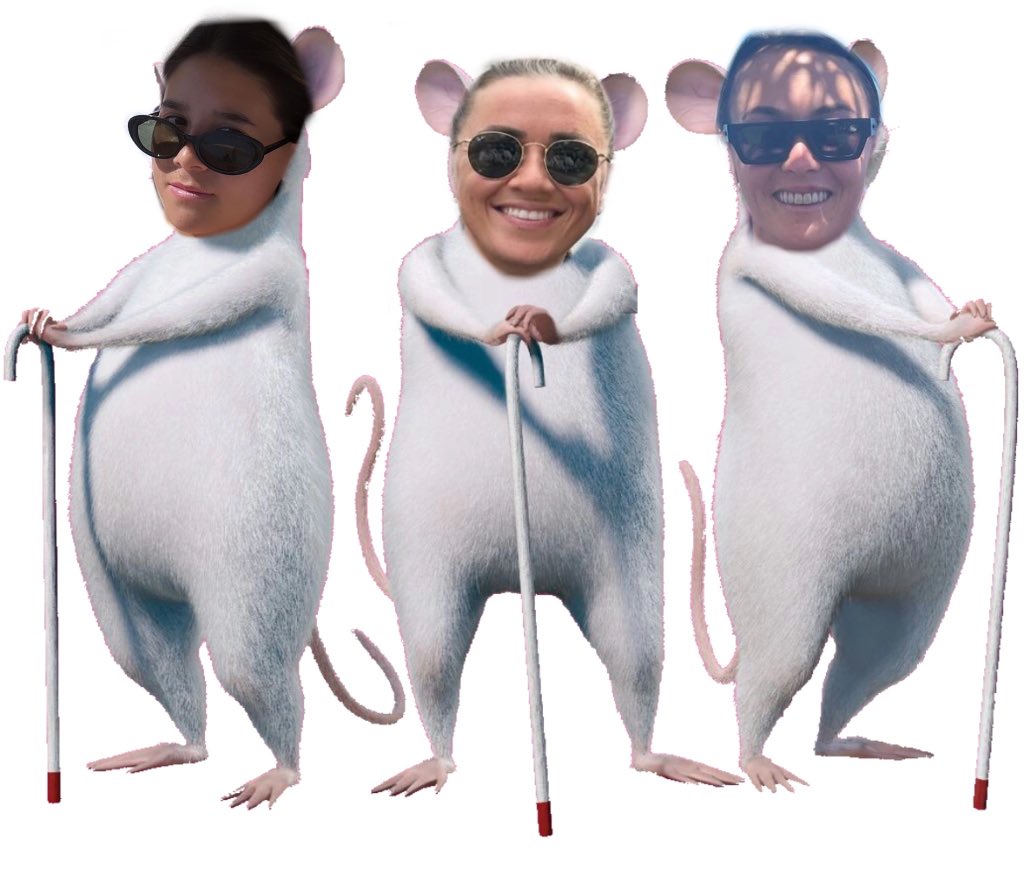 i’m so sorry but every time katie wears her sun glasses i think of the 3 blind mice