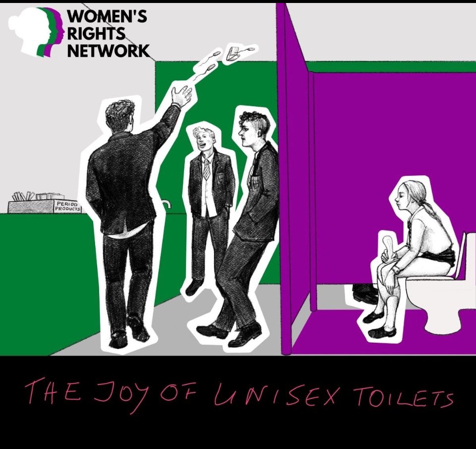Here’s a pictorial description of what girls have been telling us about why they don’t like unisex toilets at school. It’s not the only reason, but a significant one. I’m sure most boys don’t do this, but a small number does not automatically equate to just a small impact.