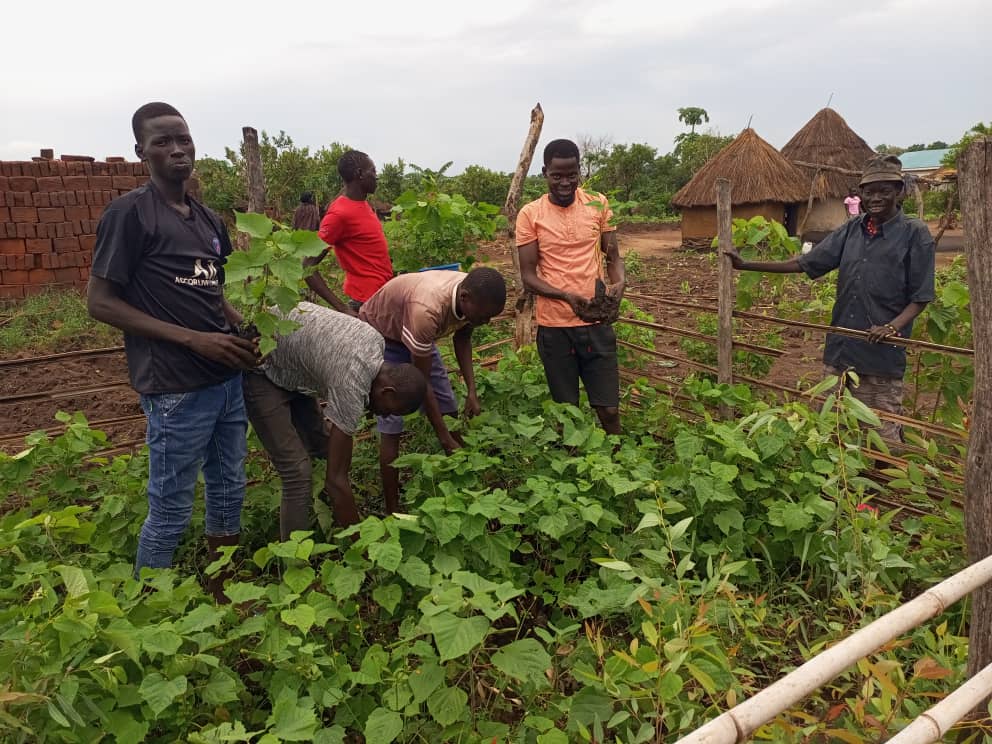 Climate change, a crucial SDG 13 issue, demands action from youth. While awareness is high, deeper education is lacking. Are global efforts adequately preparing young leaders for effective climate action? #YouthEmpowerment @Refugees @APCEIU @TheleadsUG