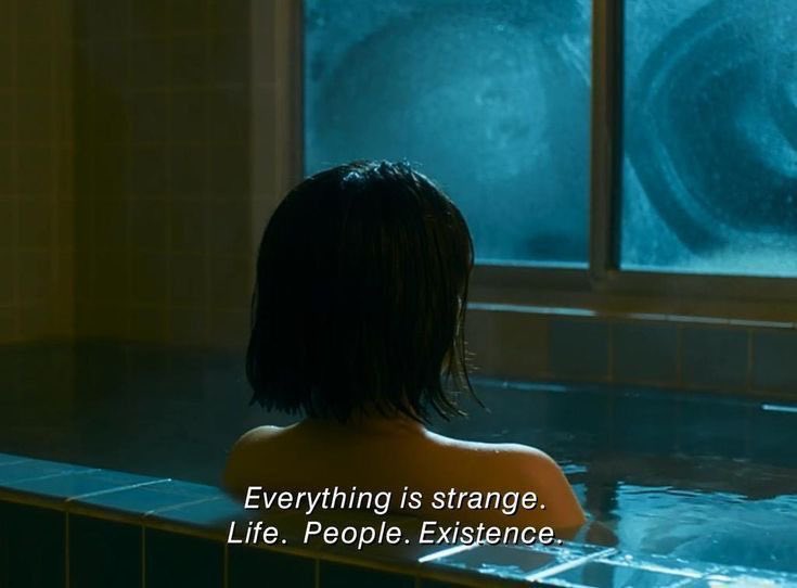 𖥔 ࣪˖ 𝓓𝓪𝔂𝓼𝓲 ⏾*:･ (@wildflowerdaysi) on Twitter photo 