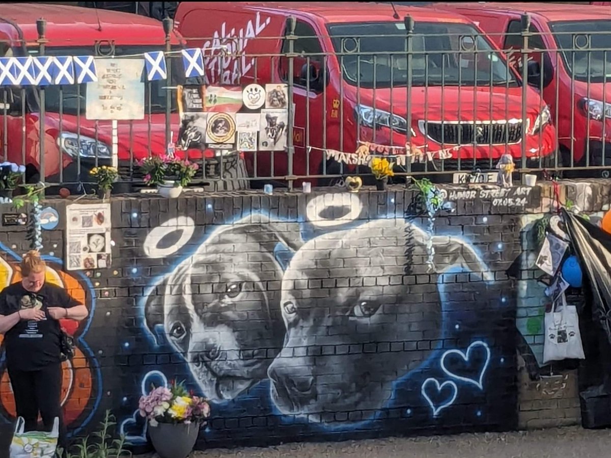 1 year today since the brutal murder of 2 innocent, sweet dogs. 😔💔
⬇️New art piece for M&M at the Marshall & Millions Memorial Wall. 🕯️🕯️🤍🤍😔
#JusticeForMarshallAndMillions