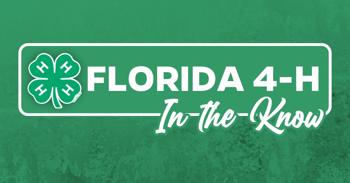 📢 Stay in the know with Florida 4-H’s upcoming registration and submission dates!
🍀 May 2024 – bit.ly/3vAt5uN
🍀 June 2024 – bit.ly/3UFiKrc
🍀 Summer 2024 – bit.ly/3w8HhLX
#Florida4H #InTheKnow #registration #submission #deadlines