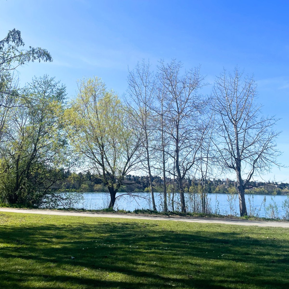 One of the things we absolutely love doing when the weather warms up is heading to Greenlake in Seattle for a leisurely walk around the loop and a fun picnic with friends! Have you ever been to Greenlake before?  Let us know below!