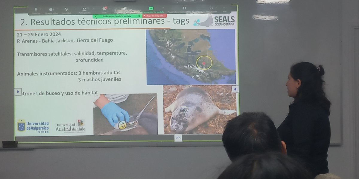 Mauricio tweet media