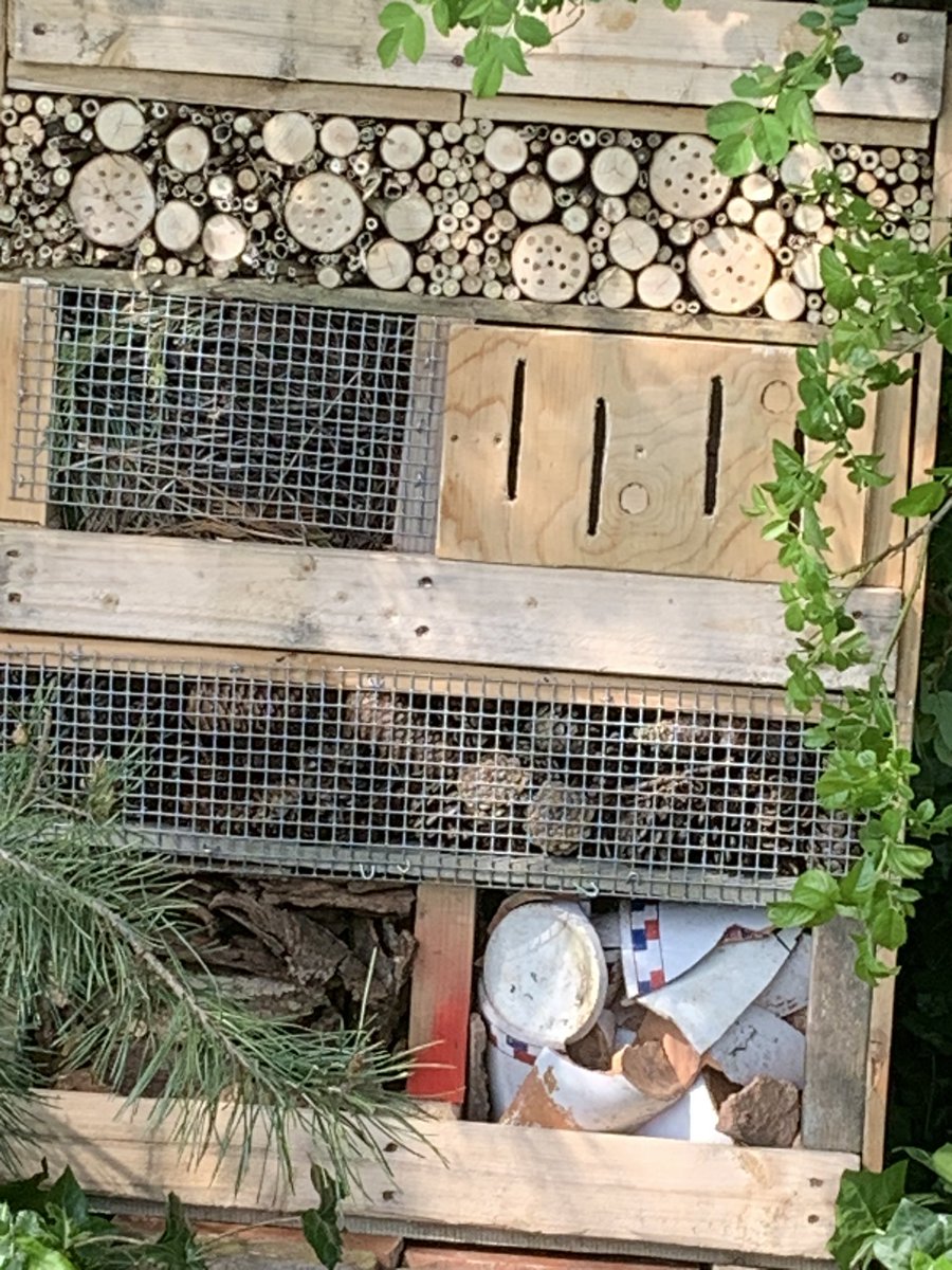 BCU SPACE tweet media