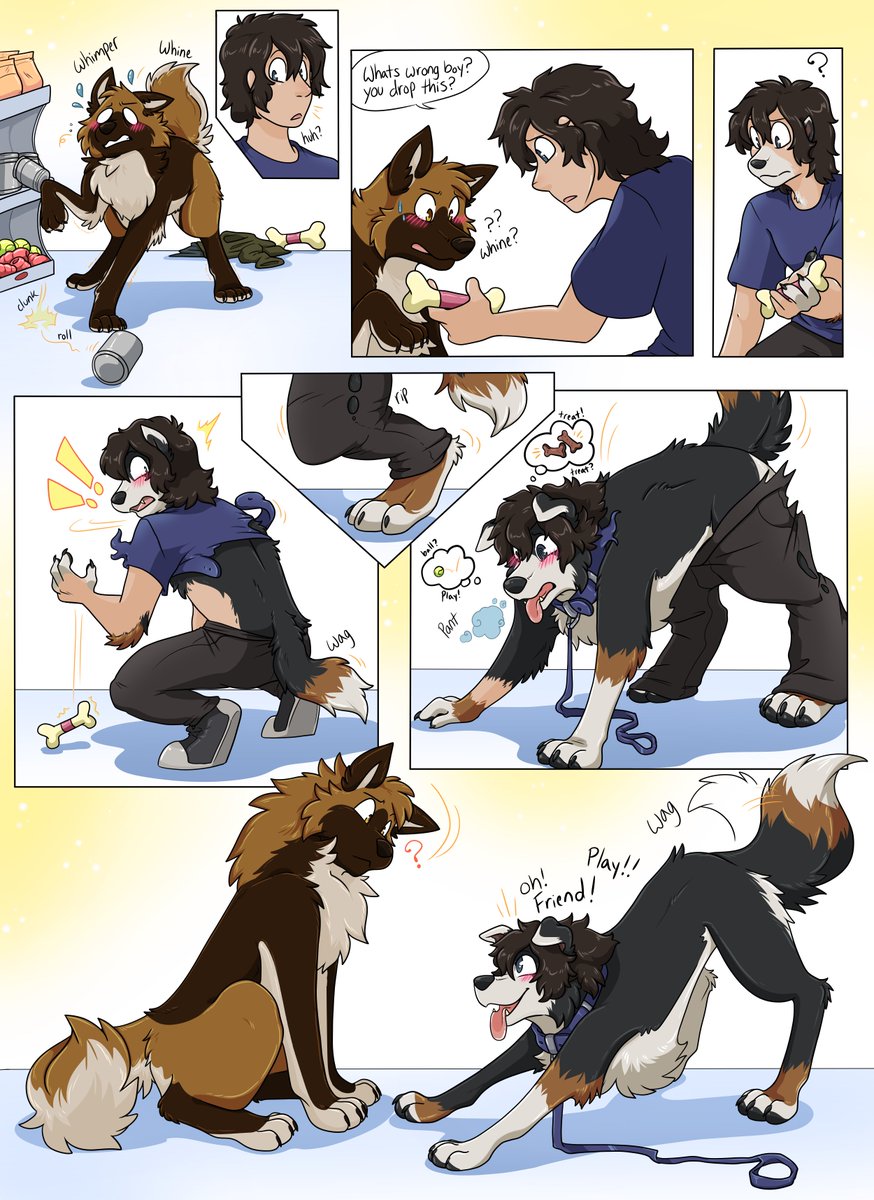 I should've known better than to approach a stray dog in a pet store... not that I mind through :3 Thank you so much to @warlockMaru for taking my comm with @JerrytheGShep #TFTuesday #TFEveryday