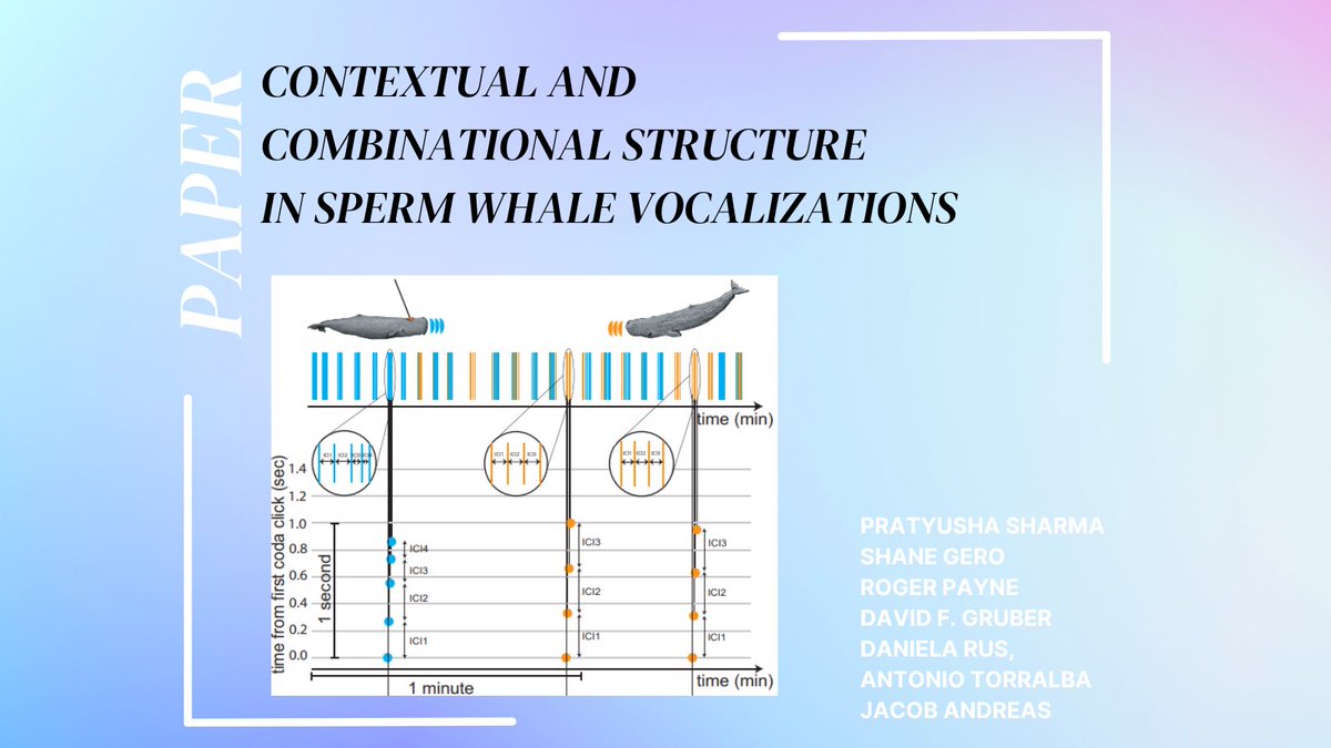 CETI’s science team has used machine learning to uncover the “sperm whale phonetic alphabet”!🐳

Read the paper at the link in our bio!
#machinelearning #CETI #Dominica #spermwhales #interspeciescommunication #MIT #CSAIL #Carleton #DSWP