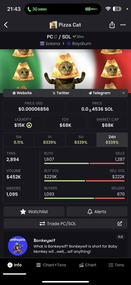 bezdelnik369's tweet image. #pizzacat was flip 
$pizzacat

Buy the dip from 20k cap

dexscreener.com/solana/2GCzxsi…