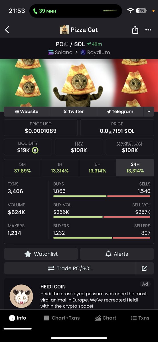 bezdelnik369's tweet image. LFG #PIZZACAT