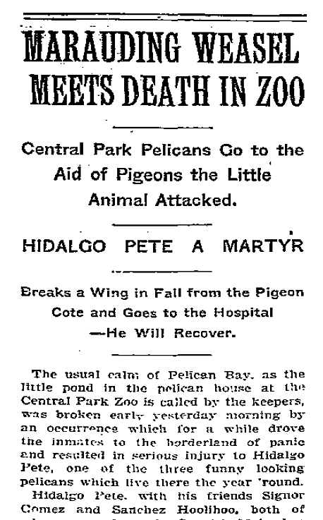 Obsessed with the New York Times' coverage of the pelican house at the Central Park Zoo 115 years ago.