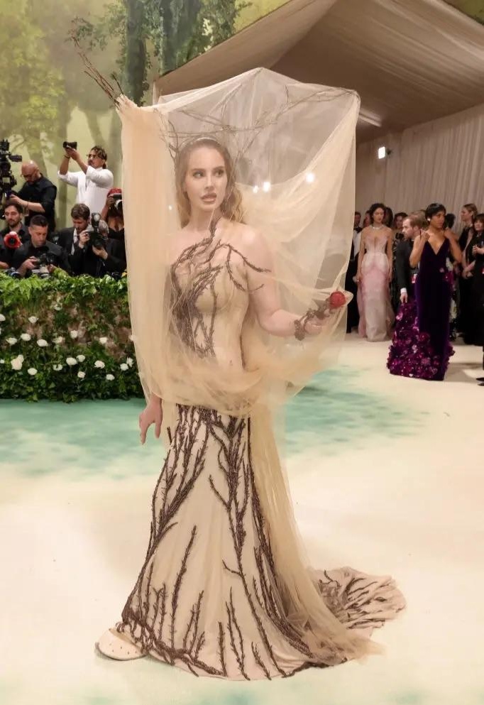 📷 Lana Del Ray at the Met Gala raising awareness for effective altruism with a malaria net inspired look