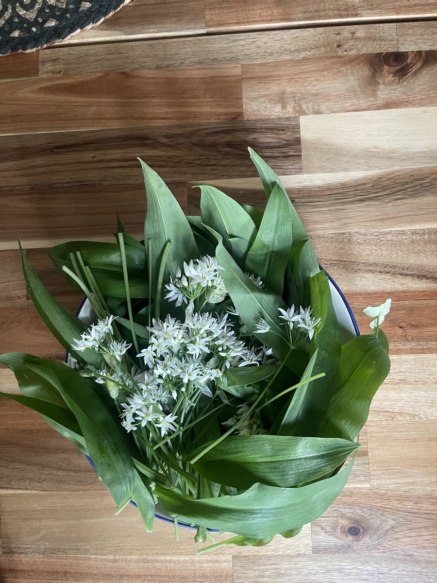 These are #WildGarlic with flowers that are also edible . My neighbour has sent me them. Has anyone eaten wild garlic ?