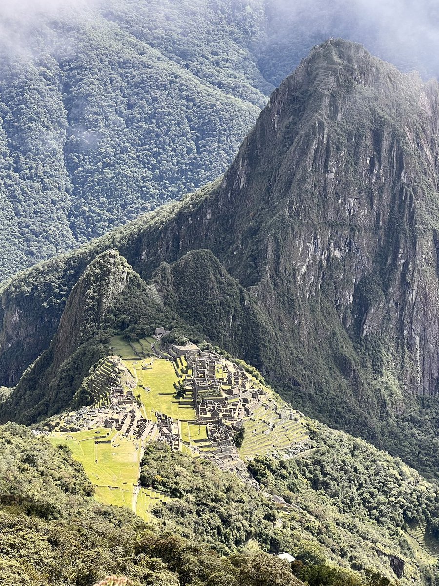 Don’t know who needs to hear this but… Machu Picchu wasn’t built in a day. See too many on this app chasing “shiny objects” and get rich quick schemes. Stay focused. Put in the work. Persevere.