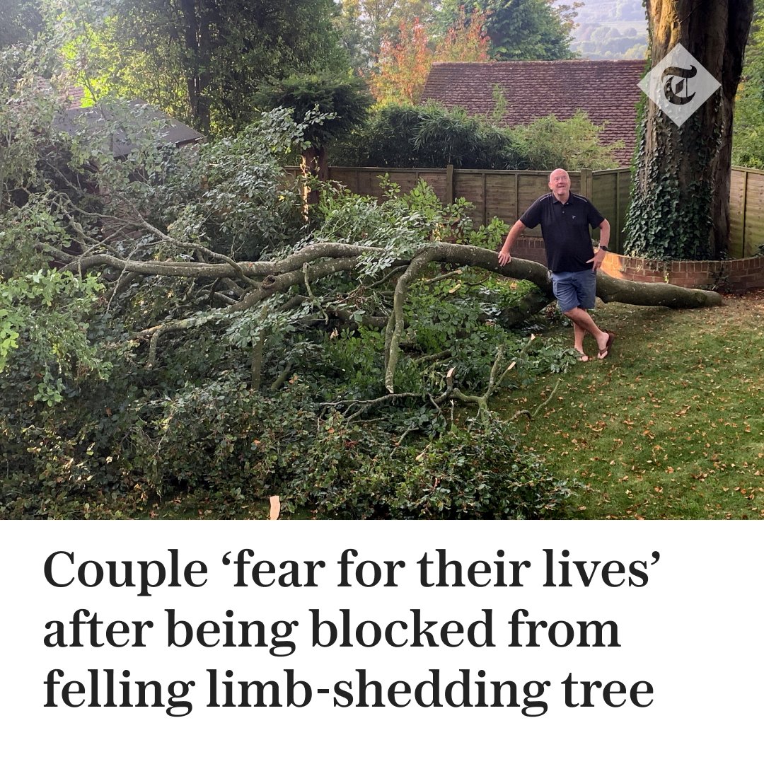 🌳 A couple claim they fear for their lives after a limb fell from an 80ft beech tree at the bottom of their garden, which a council has refused them permission to cut down Find out more ⬇️ telegraph.co.uk/news/2024/05/0…
