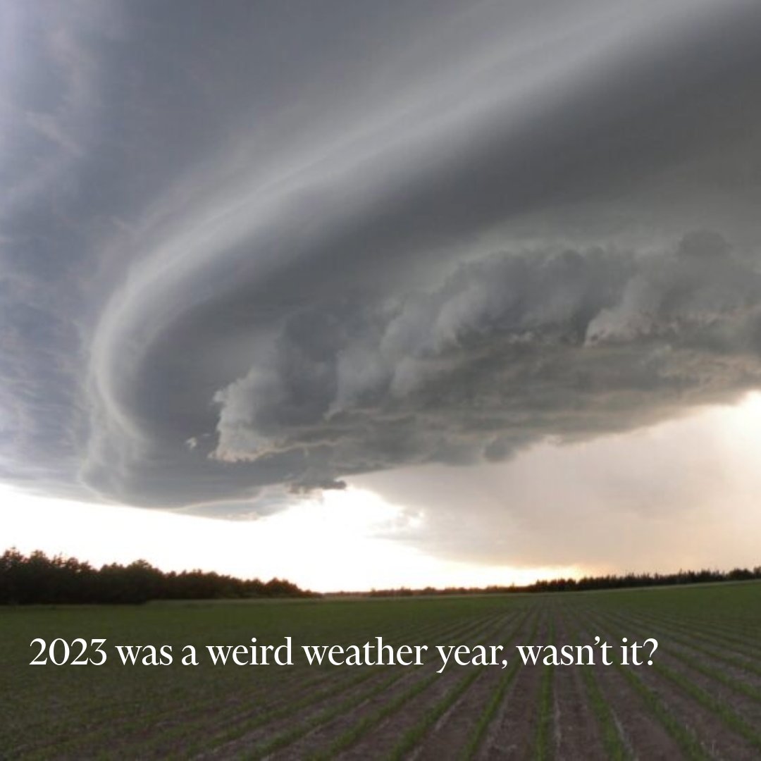 We can all agree 2023 was a weird year for weather. 🌡️⛈️🔥 So how do we put 2023 in context of the greater trend of warming? Here’s what some of Woodwell Climate’s scientists have to say about last year’s record-breaking events. woodwellclimate.org/2023-record-te… (📸 : Mitch Korolev)
