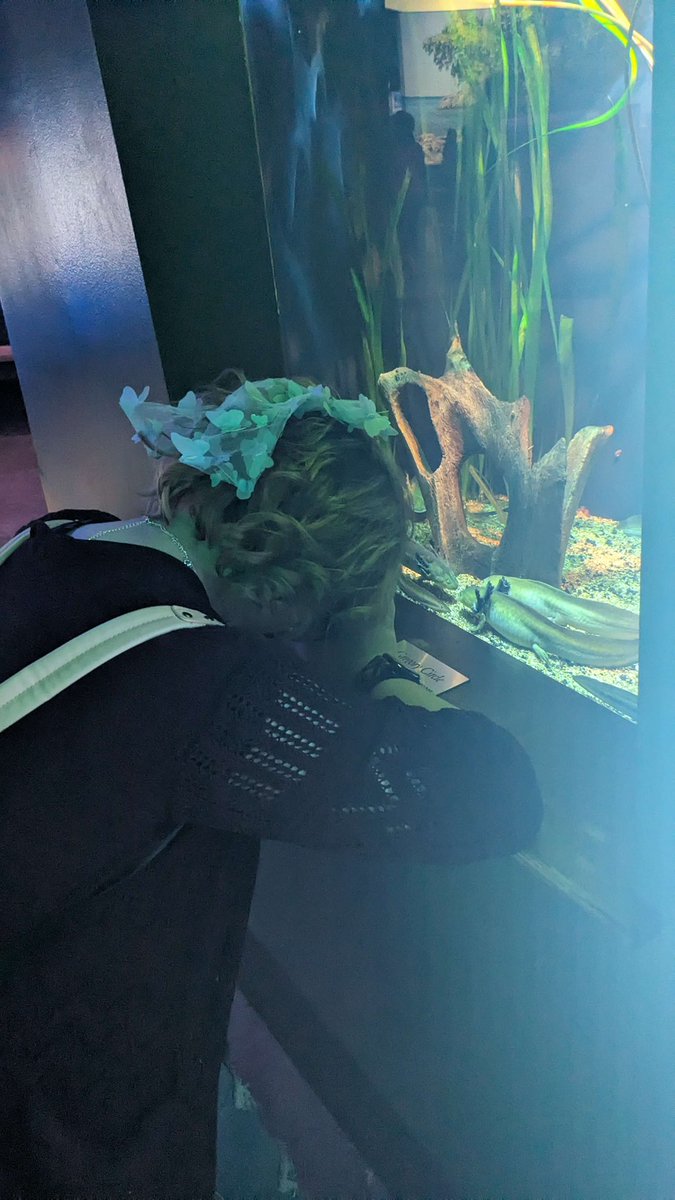 Spirit at an aquarium crying over what I thought were Axolotls but indeed a relative called waterdogs