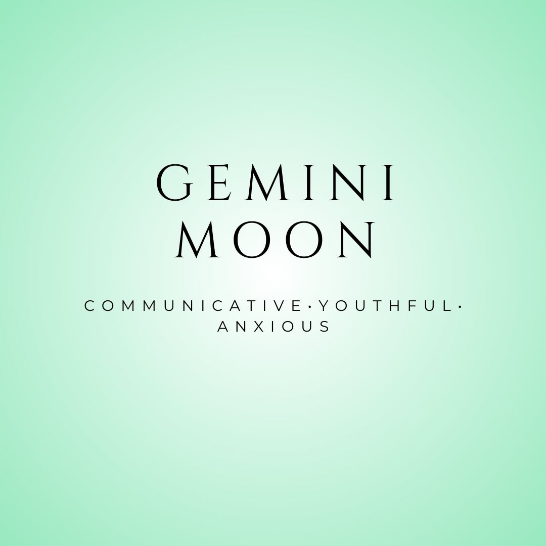 the grubi archive tweet media