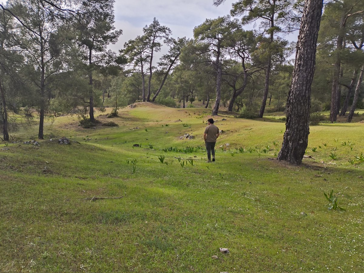 Çalışma barışı için orman muhafaza memurlarının yönetmelik değişikliği ve yapılan işe göre teknik hizmetler kadrosu verilmesi gerekir #ormancıyönetmelikdegisikligiistiyor
#OrmanMuhafazaMemurları <a href="/ibrahimyumakli/">İbrahim Yumaklı</a> <a href="/BekirKARACABEY_/">Bekir KARACABEY</a>  @<a href="/ogmgovtr/">Orman Genel Müdürlüğü</a> <a href="/milliparklar/">Milli Parklar</a>