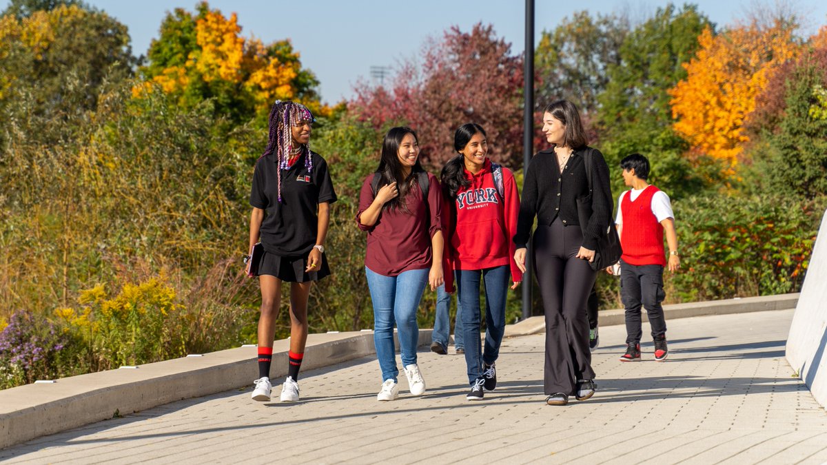 A new study by Professor Jennifer Mills & her team unveils the effects of social media on mental health. Learn how young women experienced significant boosts in self-esteem and body image after just one week without social media. Read more: bit.ly/4b8dwtV | @YorkUHealth