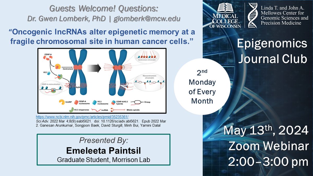 📢 Dive into oncogenic lncRNAs & epigenetic memory in cancer cells at our next #Epigenomics Journal Club! 🧬 Don't miss this insight into fragile chromosomal sites. Join us, mcw-edu.zoom.us/j/98559976075?…! @MCWCancerCenter @MCWSurgery @MedicalCollege @precision_ru