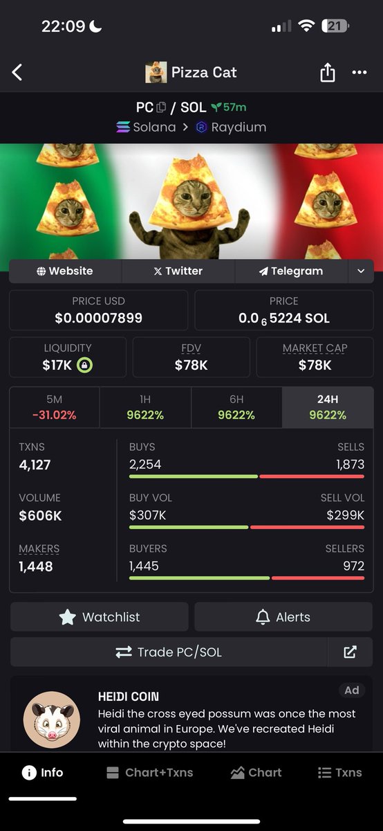 bezdelnik369's tweet image. From dippppp to moon
#pizzacat