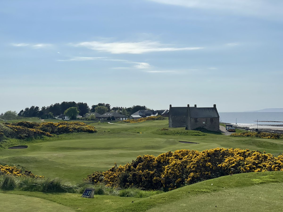 Could the gorse be any prettier @PrestwickStNich … #golftwitter
