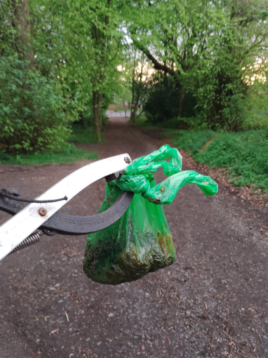 Barely up the hill and this is the second one 💩 of this size 🤢

Starting to regret just going for a walk!

#CorstorphineHill 🌳 nature reserve 🐿️